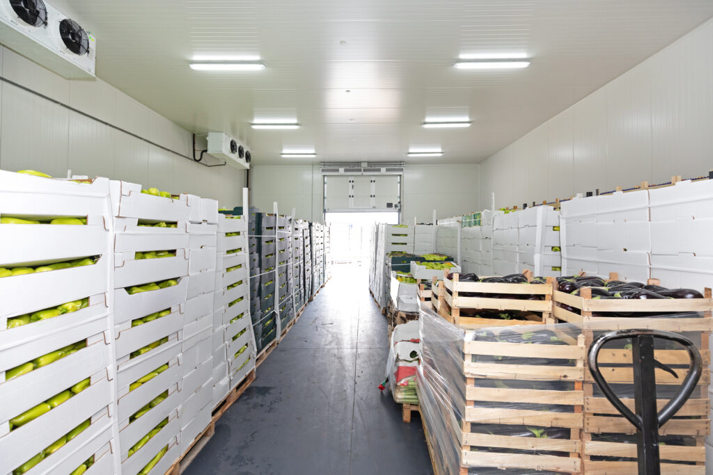 fruits stored in a cold storage warehouse